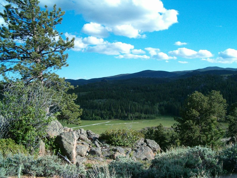 Property photo 10 - Get Lost in the Pristine Northern Colorado Rockies - Prime Building Sites